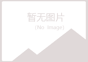 偃师海莲金属有限公司